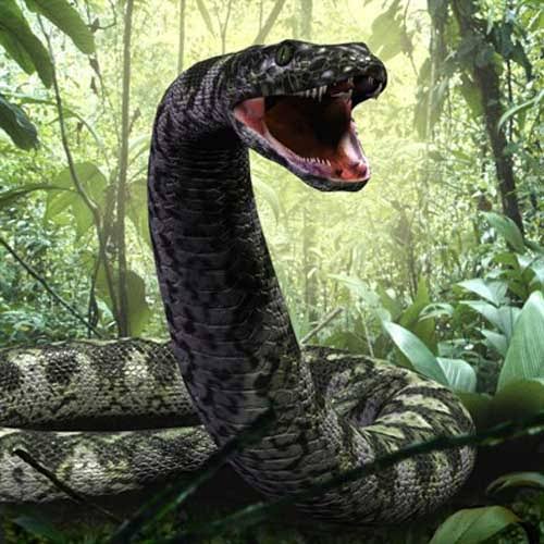 The zulu's believe a giant snake, known as inkanyamba inhabits the pool at the bottom of. Inkanyamba Opera News South Africa