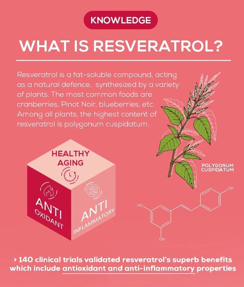 What is Resveratrol in English