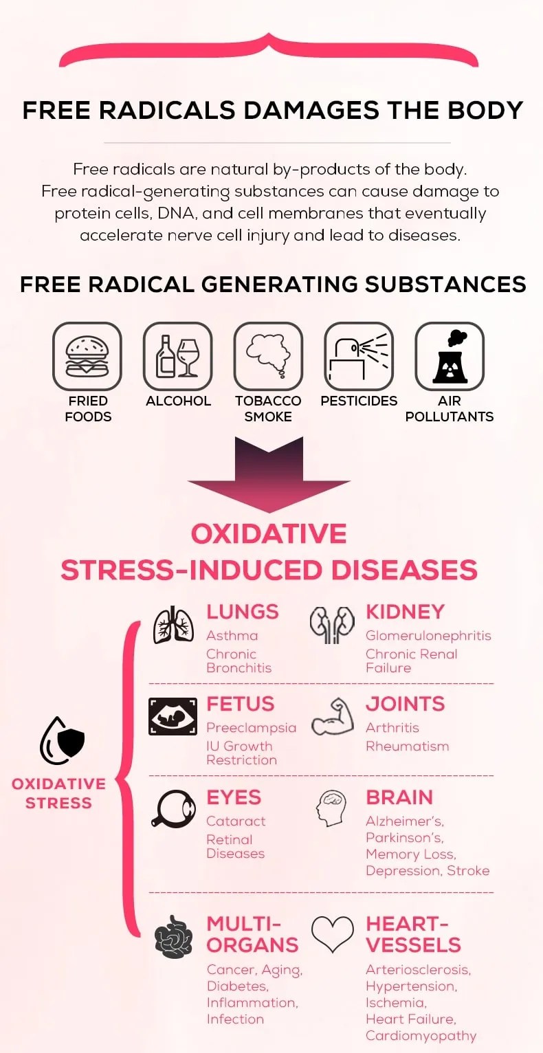 Free Radical Damages to the Body
