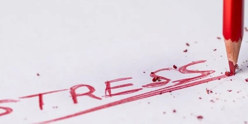 5 Holistic Remedies to Relieve Stress