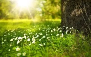 Spring is Just Around the Corner