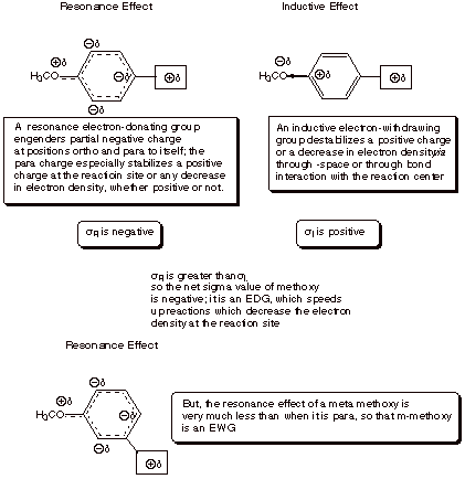 Unit 4 Free Energy Relationships