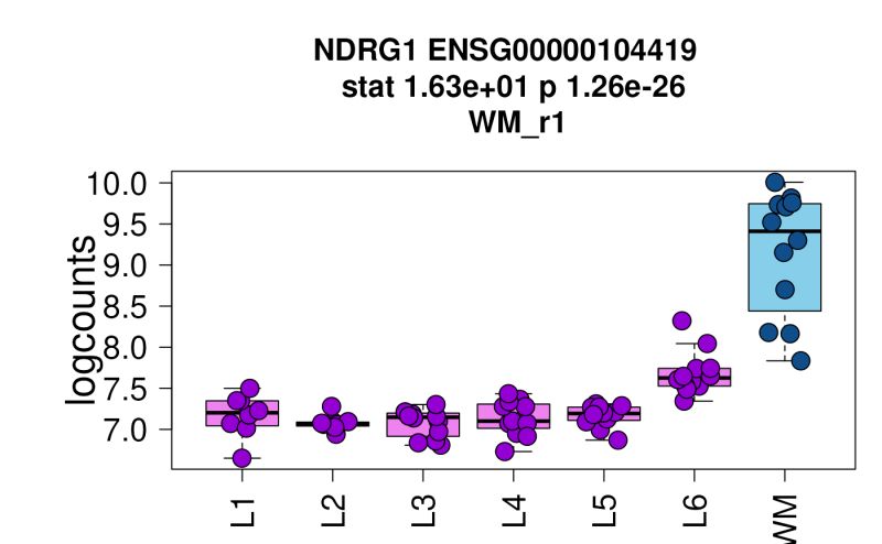 Layer Level Group Level Boxplots Layer Boxplot Spatiallibd - Best Landscape Textures in Full HD