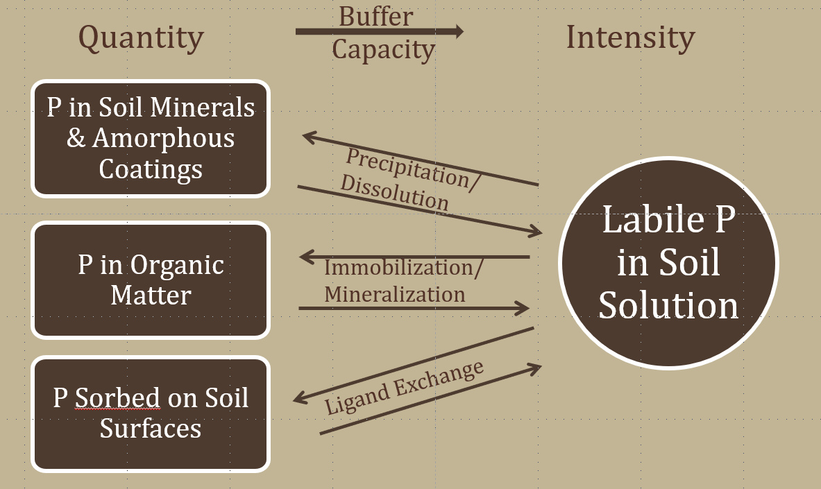 Phosphorus, Potassium and Sulfur Fertility