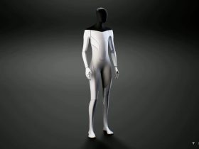 Tesla Bot