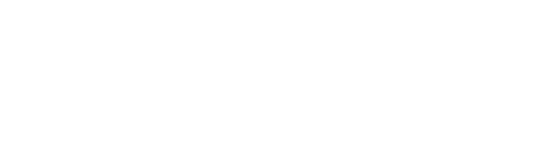 Logo Laurent Bossaert Pictures of You Photographe Graphiste