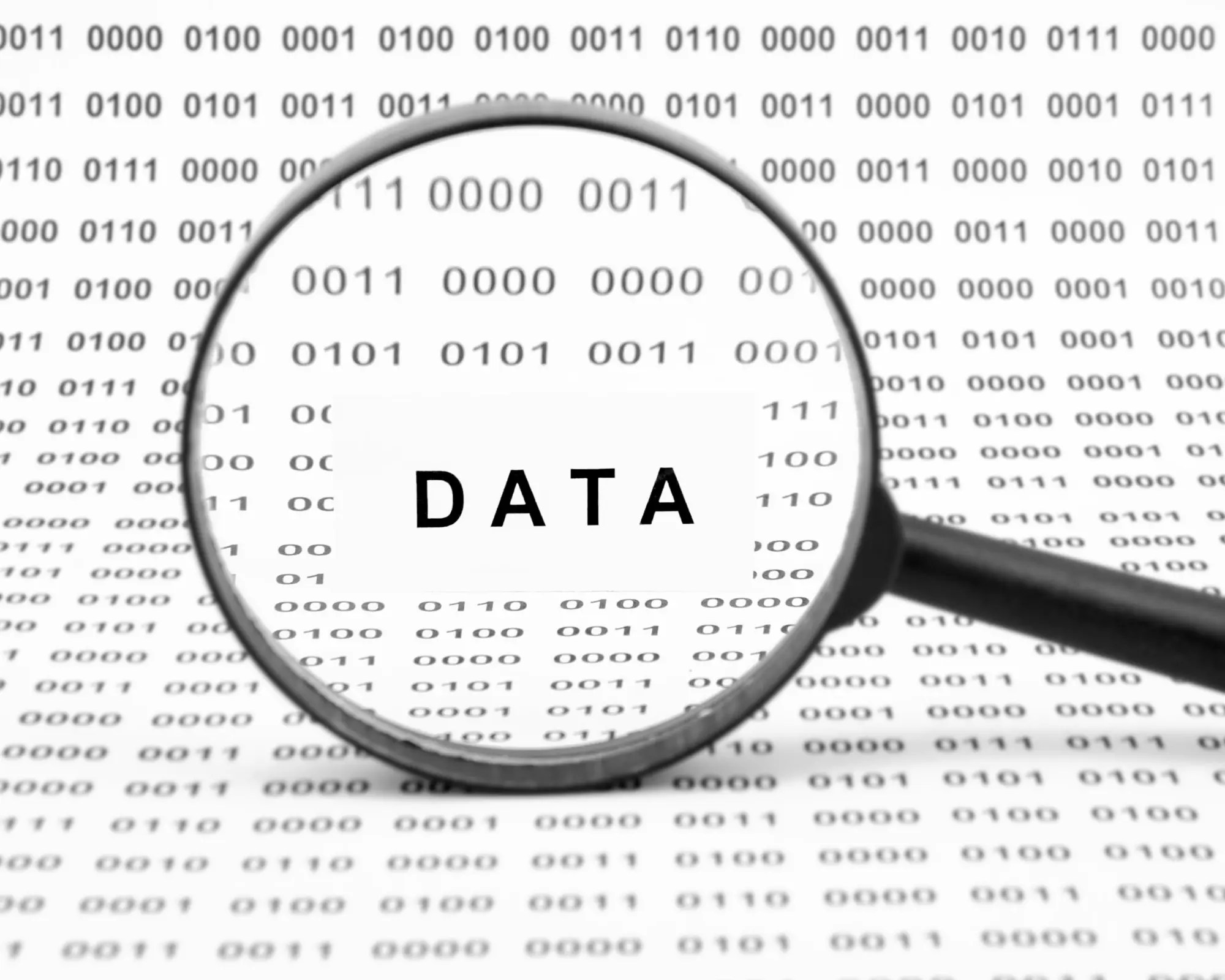 Data Science, Management and Visualization