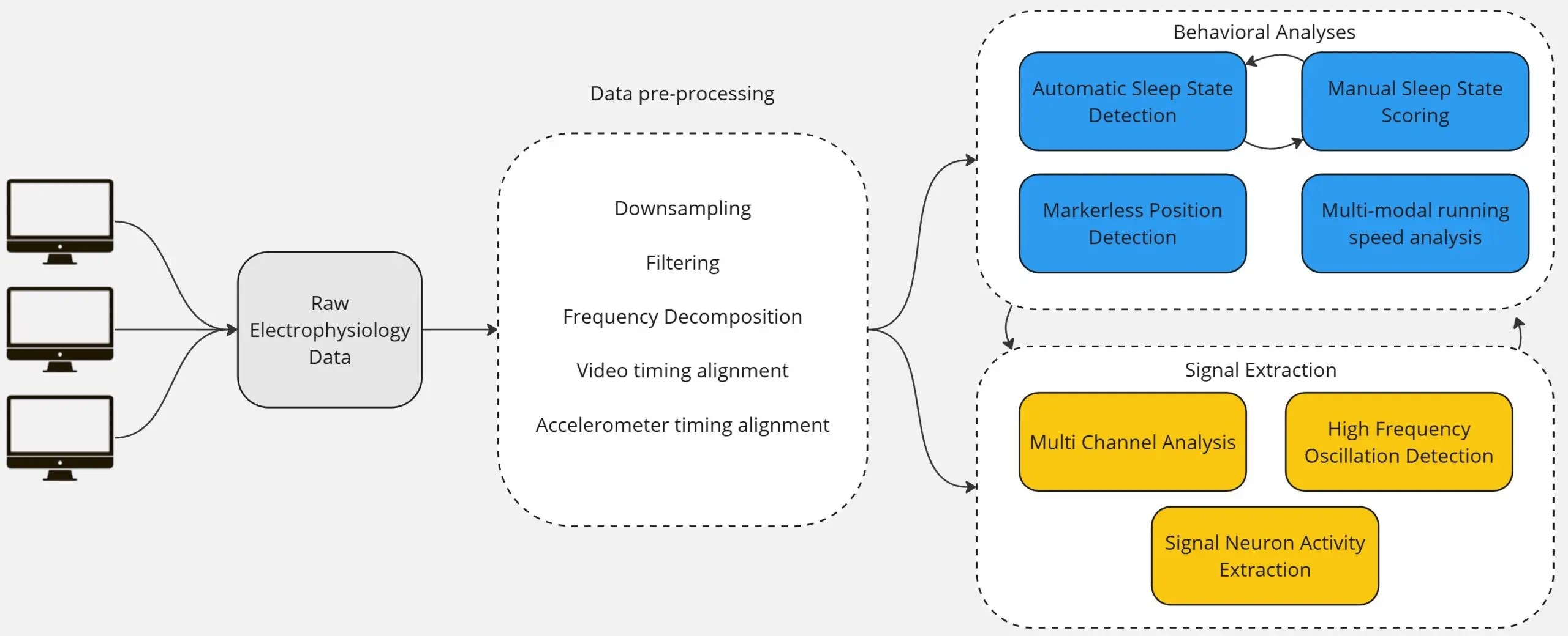 Data flow large electrophysiology data