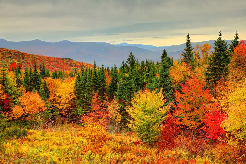Fall foliage in the Kittatinny Mountains near the resort