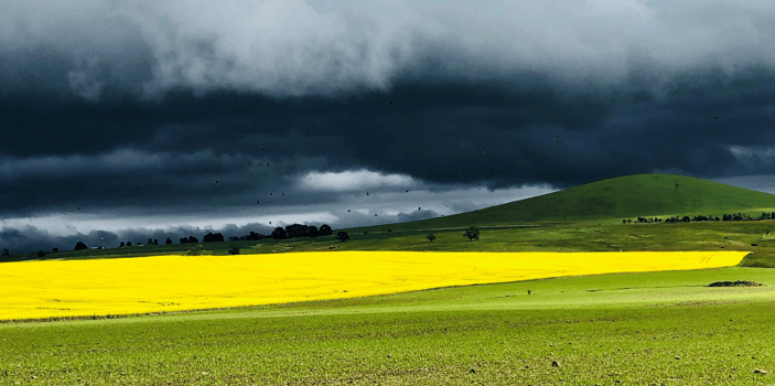 Classroom Daily Prayer #4 (Sixth Week Ordinary Time, 2021)