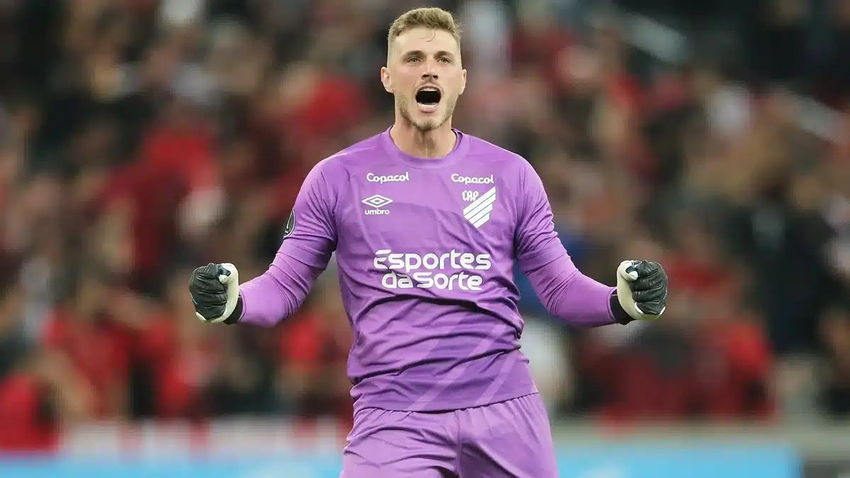 Brazilian Bento - Sunset Design Collection - Full HD Quality