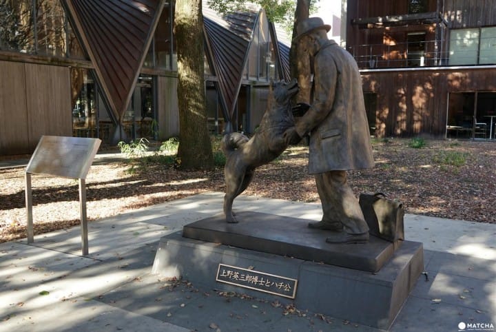 Woodblock print of hachiko manhole cover at shibuya station. Meet Hachiko 5 Places Related To Japan S Famous Loyal Dog Matcha Japan Travel Web Magazine