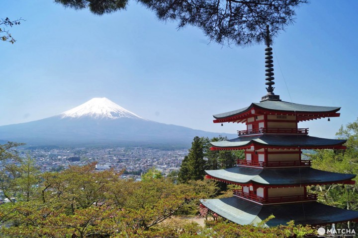 Cara Menikmati Keindahan Pemandangan “The Japan” di Pagoda Chureito |  MATCHA - SITUS WISATA JEPANG