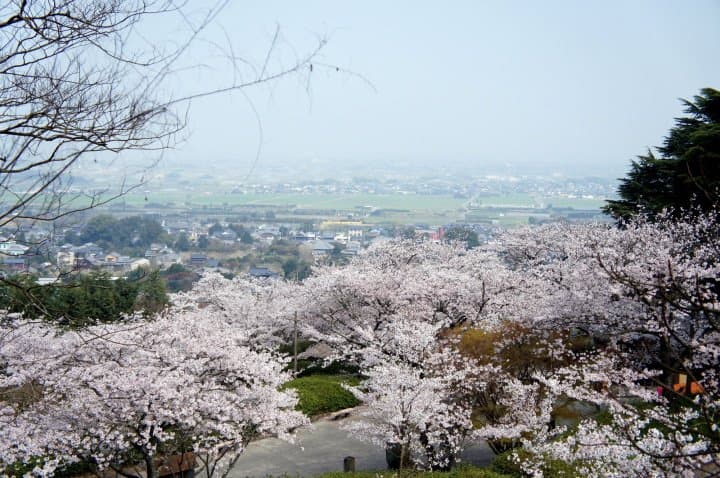 北九州景點櫻花北九州賞櫻自由行八天七夜行程總覽 福岡 佐賀 長崎 熊本 Rkdof
