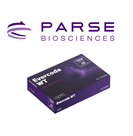 Evercode Wt Single Cell Starter Pack - Ultra HD Light Illustration - 8K