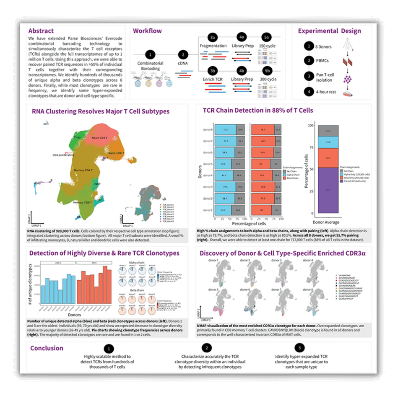 Keygene Combinatorial Barcodes - Colorful Photo Collection - Full HD Quality