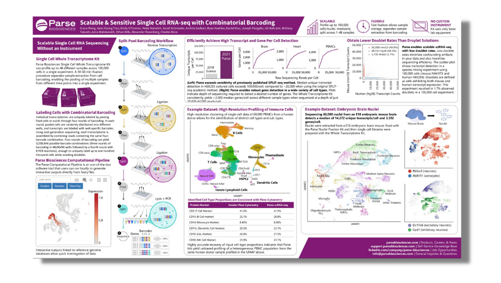 Poster Using Combinatorial Barcoding To Profile 1 Million Cells - Best Light Patterns in Ultra HD