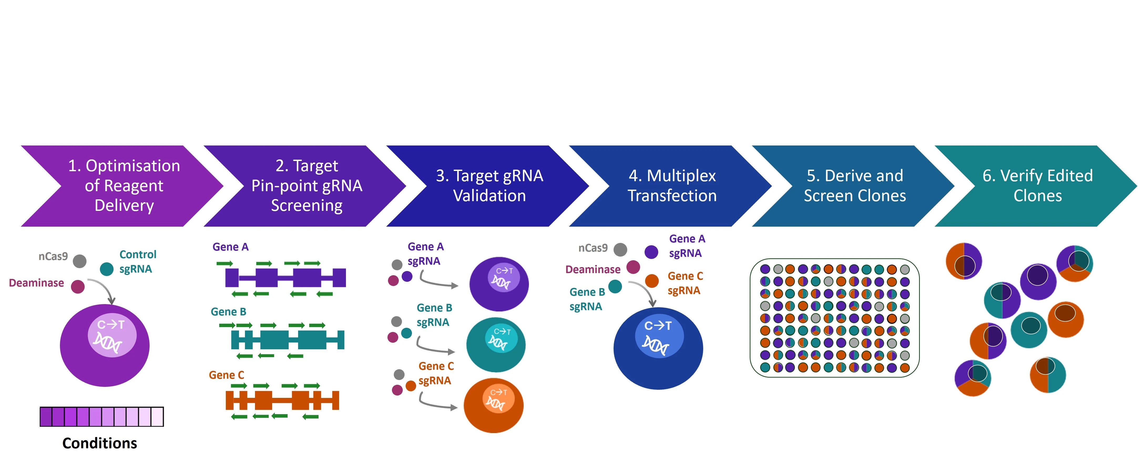 Cell Line Engineering Revvity - Elegant Geometric Art - High Resolution