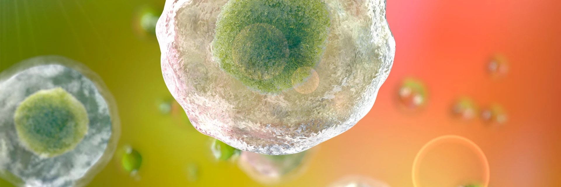 Optimizing Cell Lines For Biotherapeutics Technology Networks - Colorful Pattern Collection - Desktop Quality