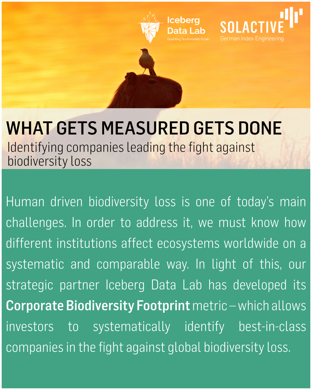 Solactive Solactive Biodiversity Index - Dark Illustration Collection - Mobile Quality
