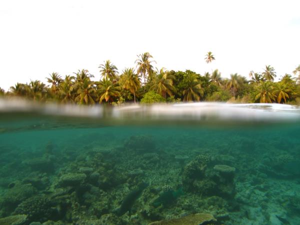 Finally, ambergris seaside real estate will be your left. Queensland Rainforests Great Barrier Reef Wildlife Vacation Responsible Travel