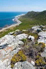 Walking Tour of Cape Point