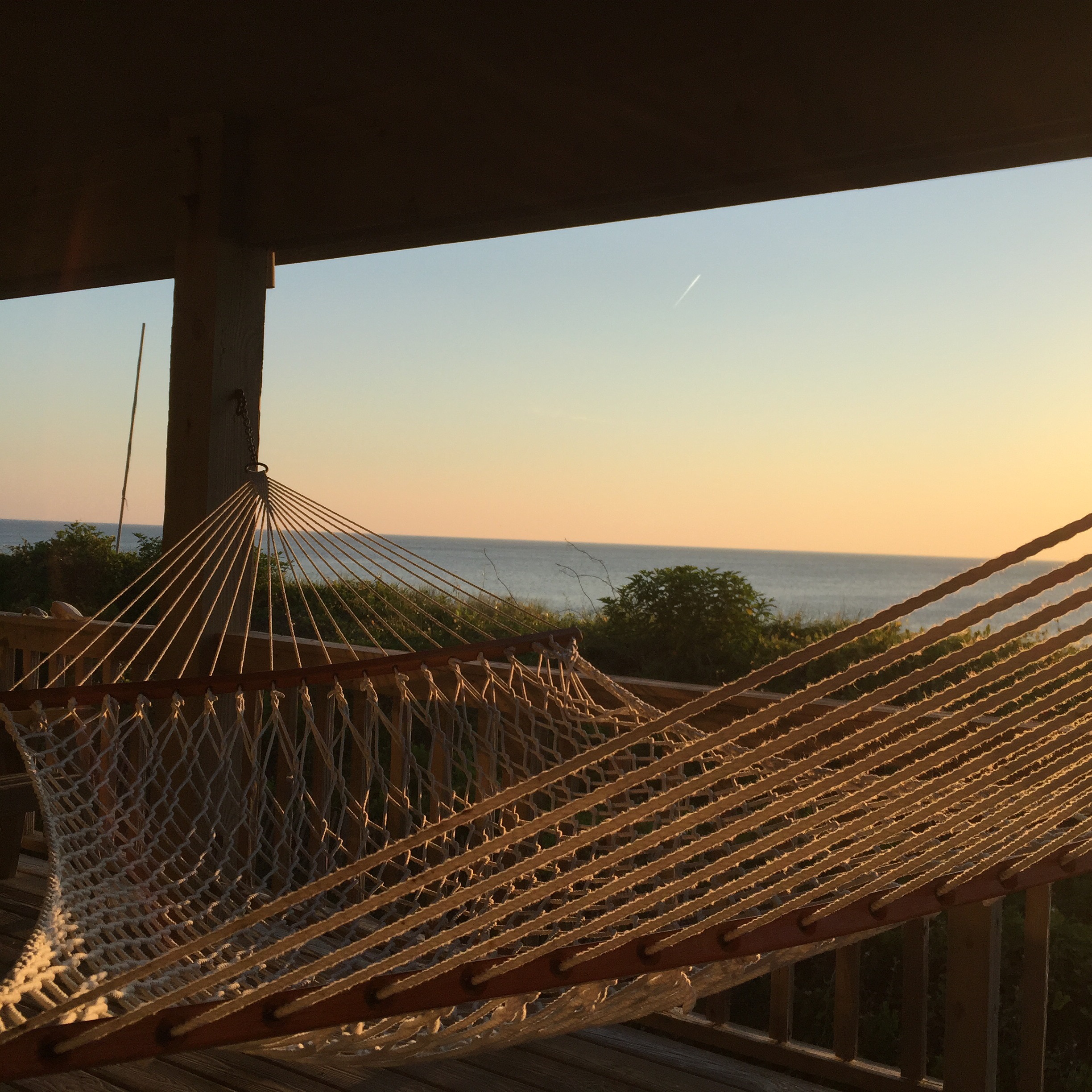 Hammock