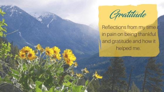 Gratitude