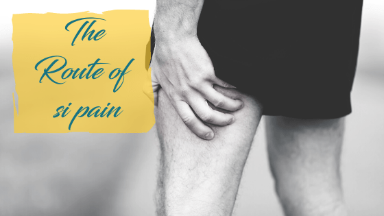 Si Joint Pain
