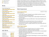 14 Global Program Manager Resume Examples And Templates For 2024