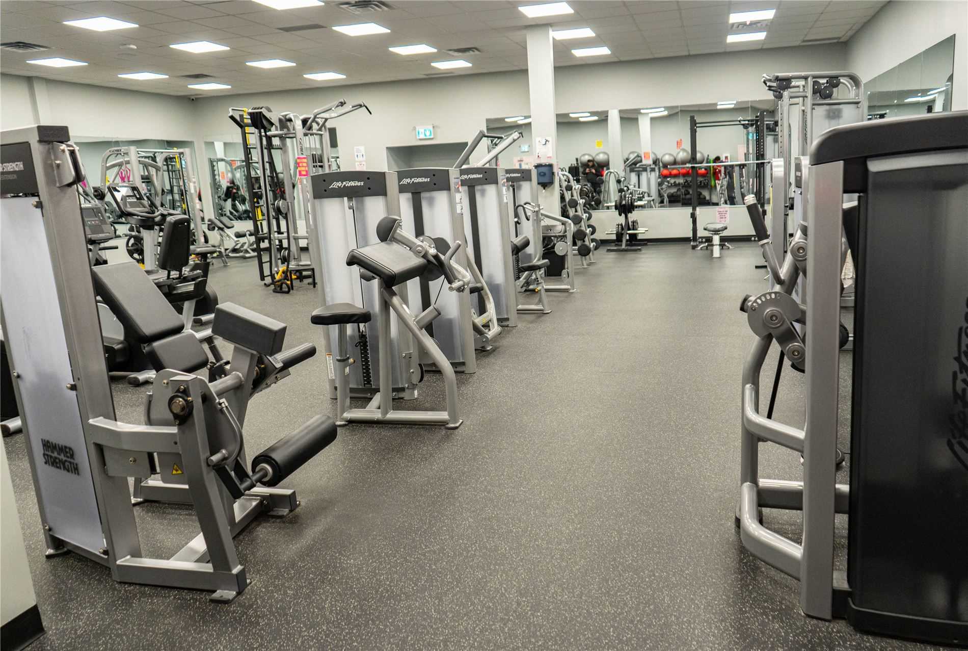 Fitness Gyms For Sale Gym Business For Sale Gym For Sale