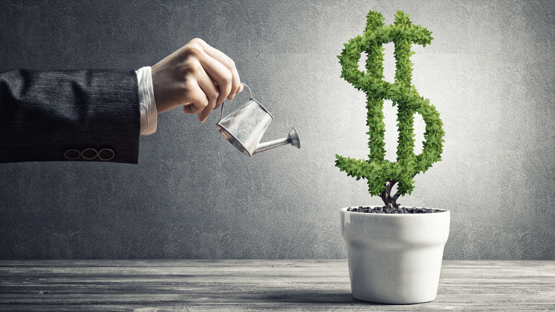 Cash Flow & Net Worth