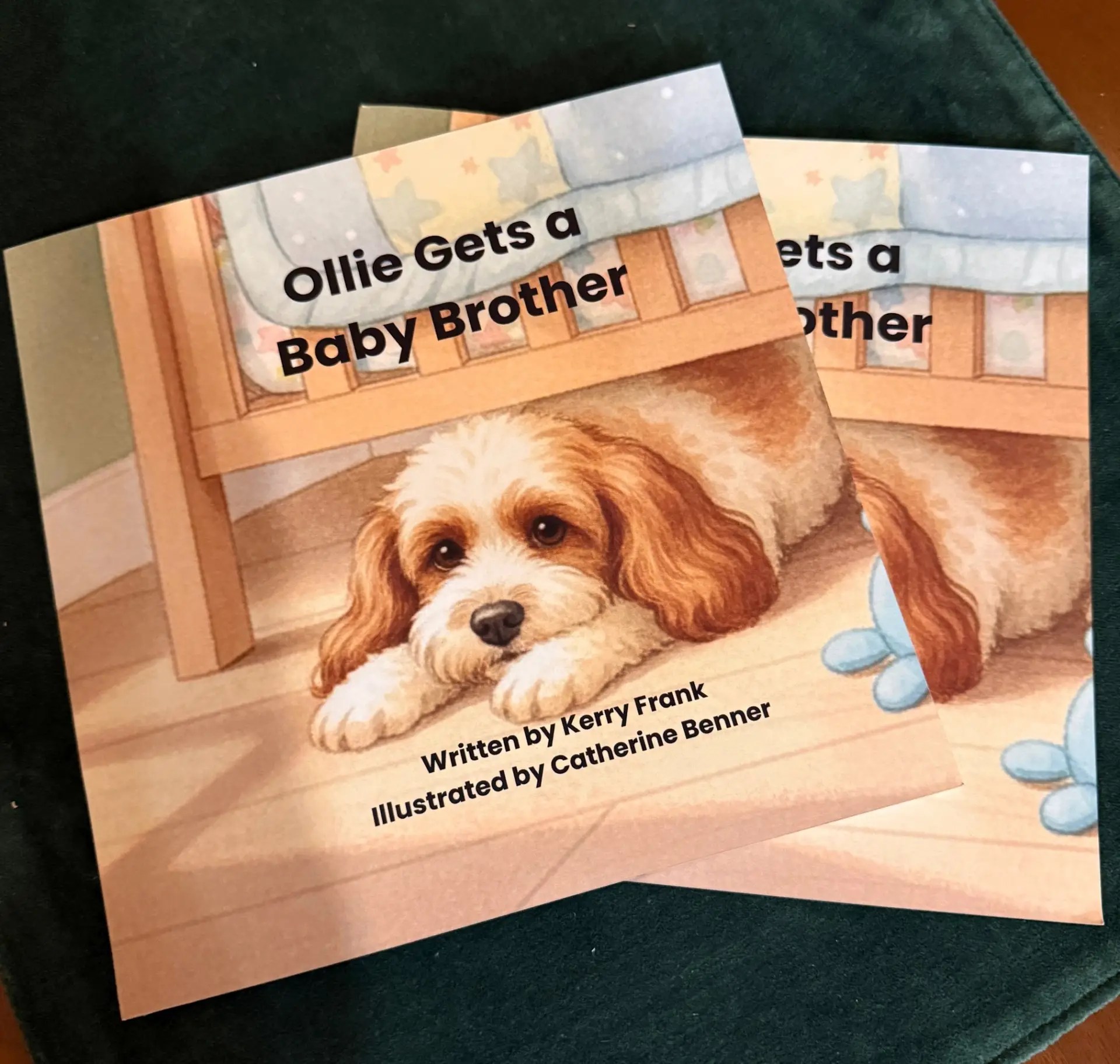 Photo of a cover of the book Ollie Gets a Baby Brother