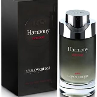 MARCO SERUSSI HARMONY INTENSE FOR MEN EDP 100ML PERFUME  Amazon.ae: Beauty