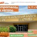 Organiza la UAT en Río Bravo el campamento de verano infantil