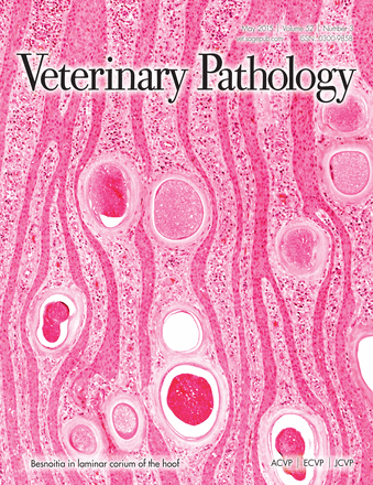 veterinary pathology