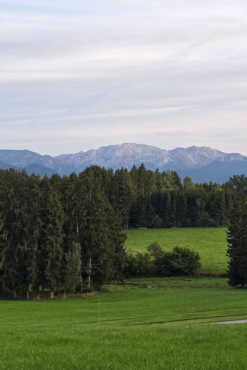 Ein schöner Ausblick auf die Alpen