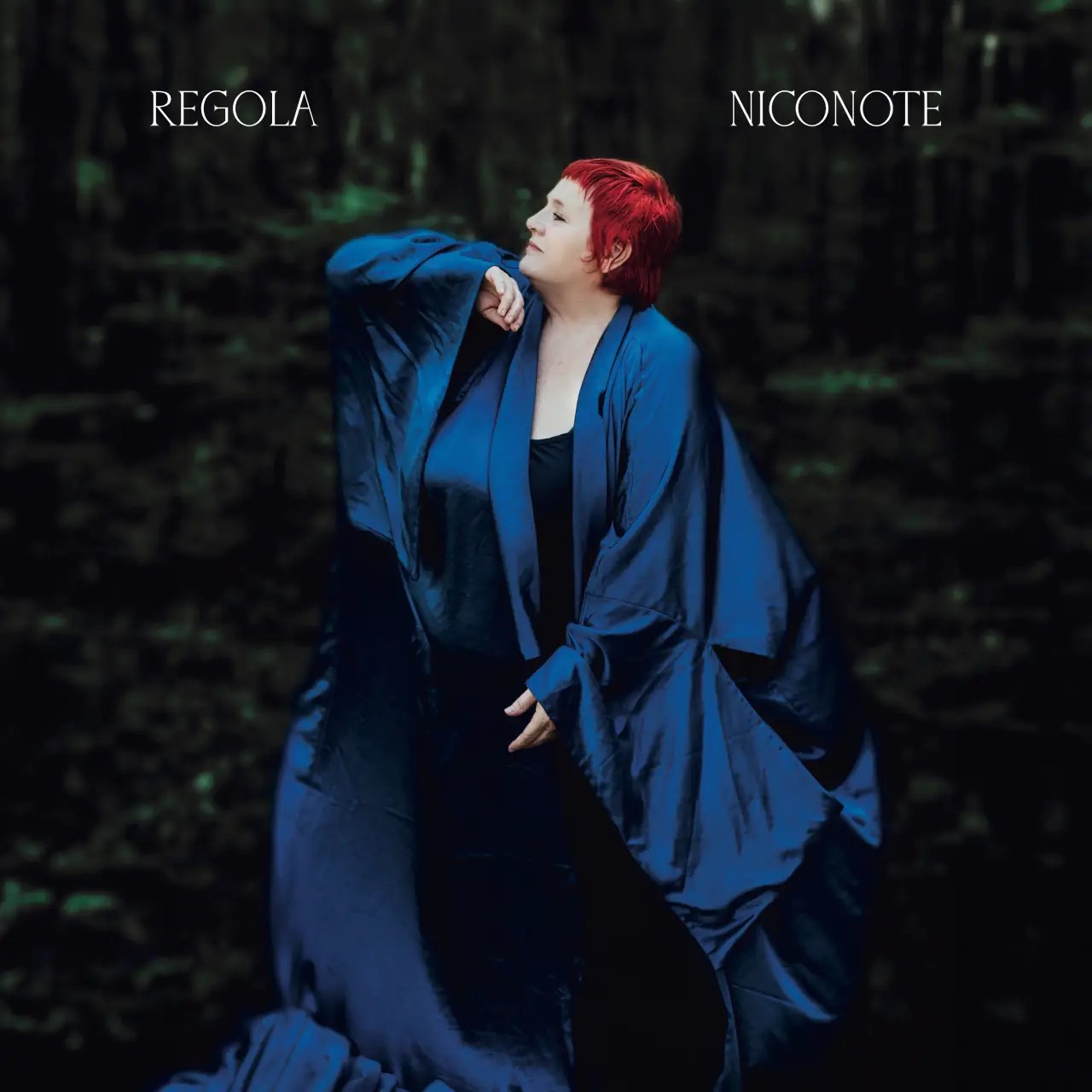 NicoNote REGOLA Artwork LP Front