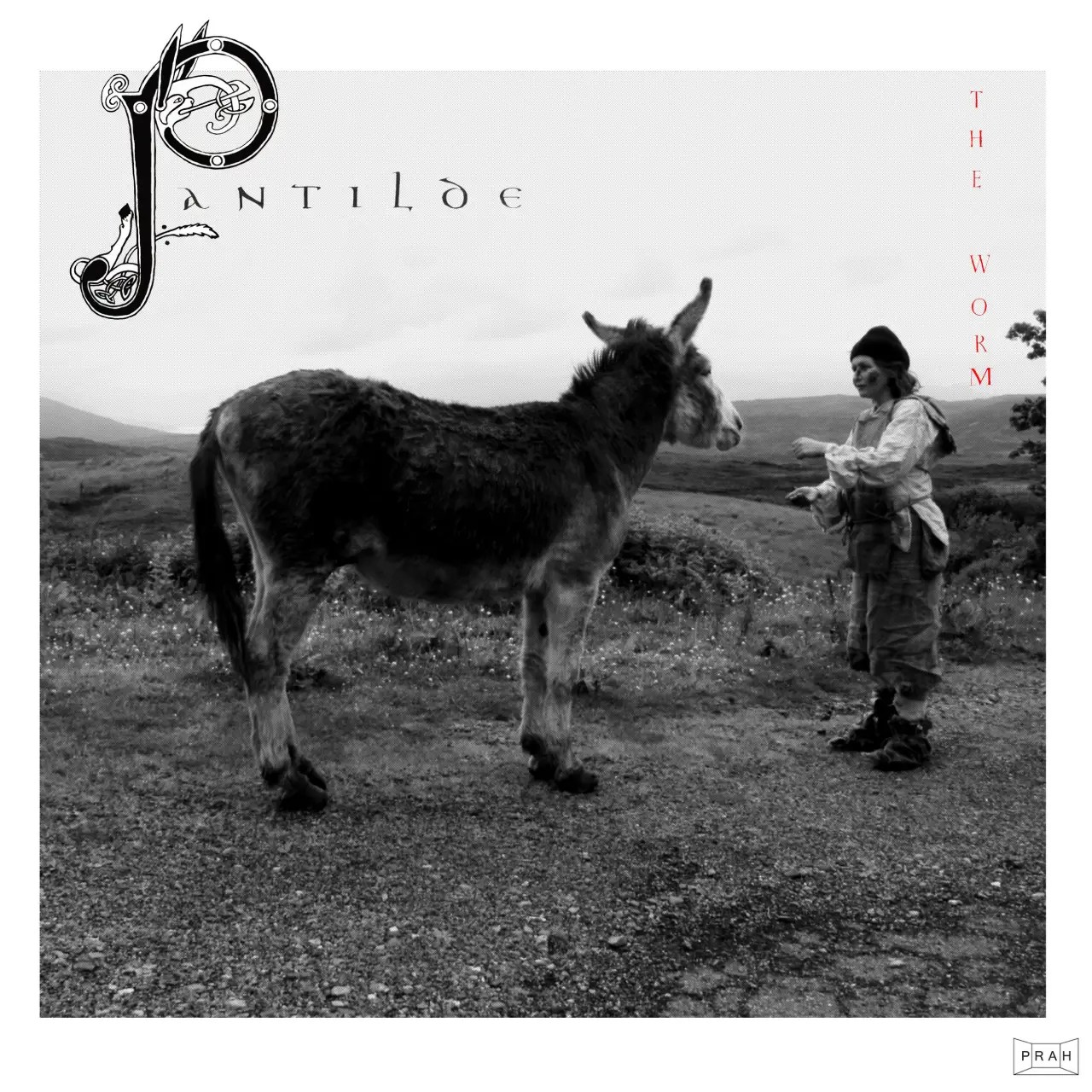 Pantilde