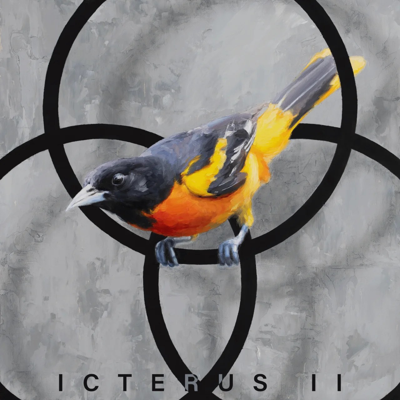 Icterus II