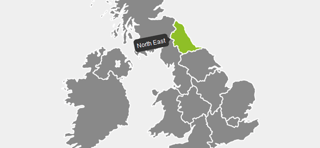 Raphaeljs Tutorial Start today and improve your skills.