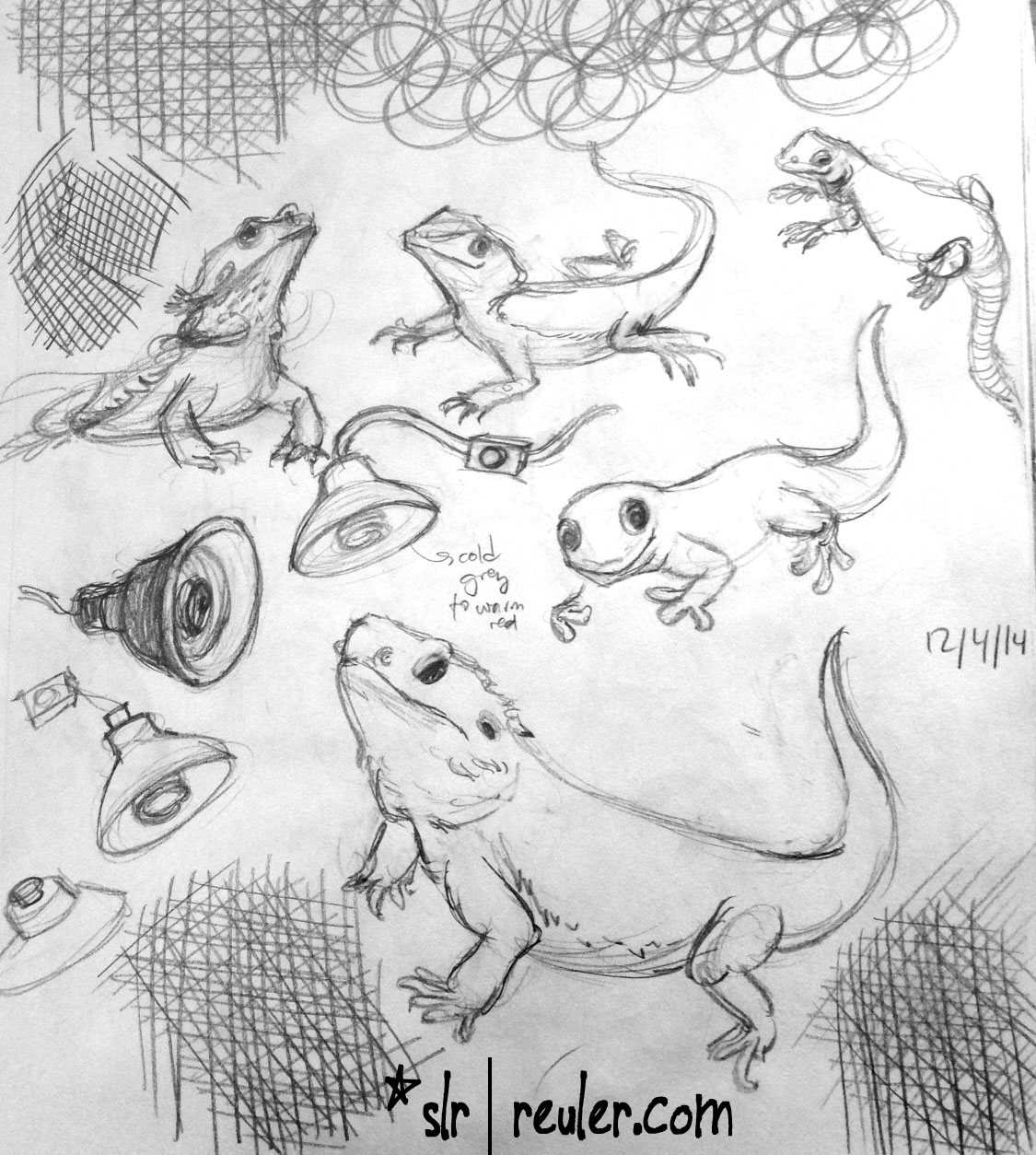 bearded dragons, gecko, lamps