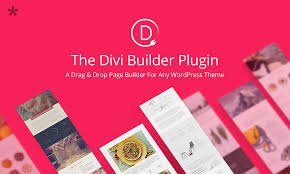 divi builder