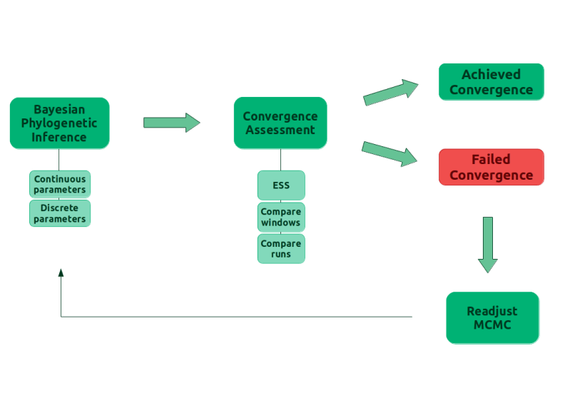 Github Revbayes Revbayes Archive - Premium Minimal Texture Gallery - High Resolution