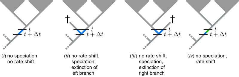 Trees With Significant Branch Specific Evolutionary Rate Deviations - Best Landscape Designs in HD