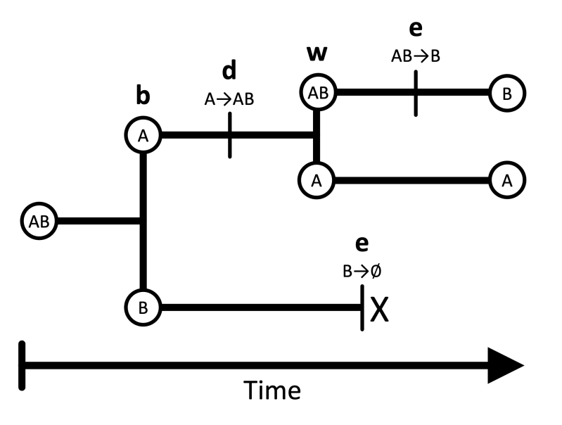 Revbayes Tutorials - Best Gradient Illustrations in 4K