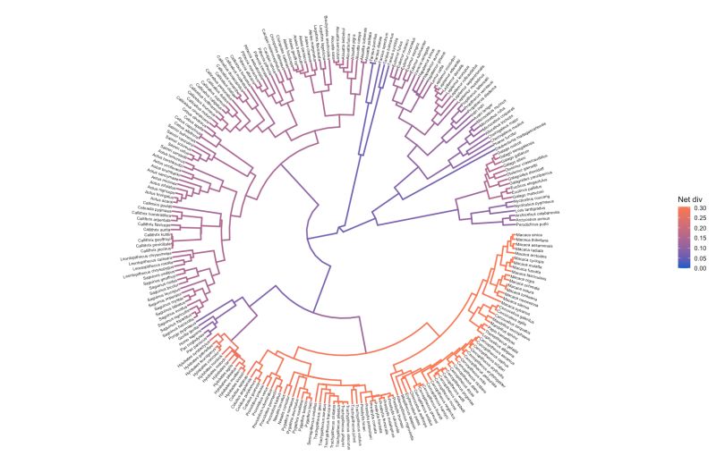 Github Revbayes Revgadgets Postprocessing Gadgets For Output - Perfect Abstract Photo - Retina