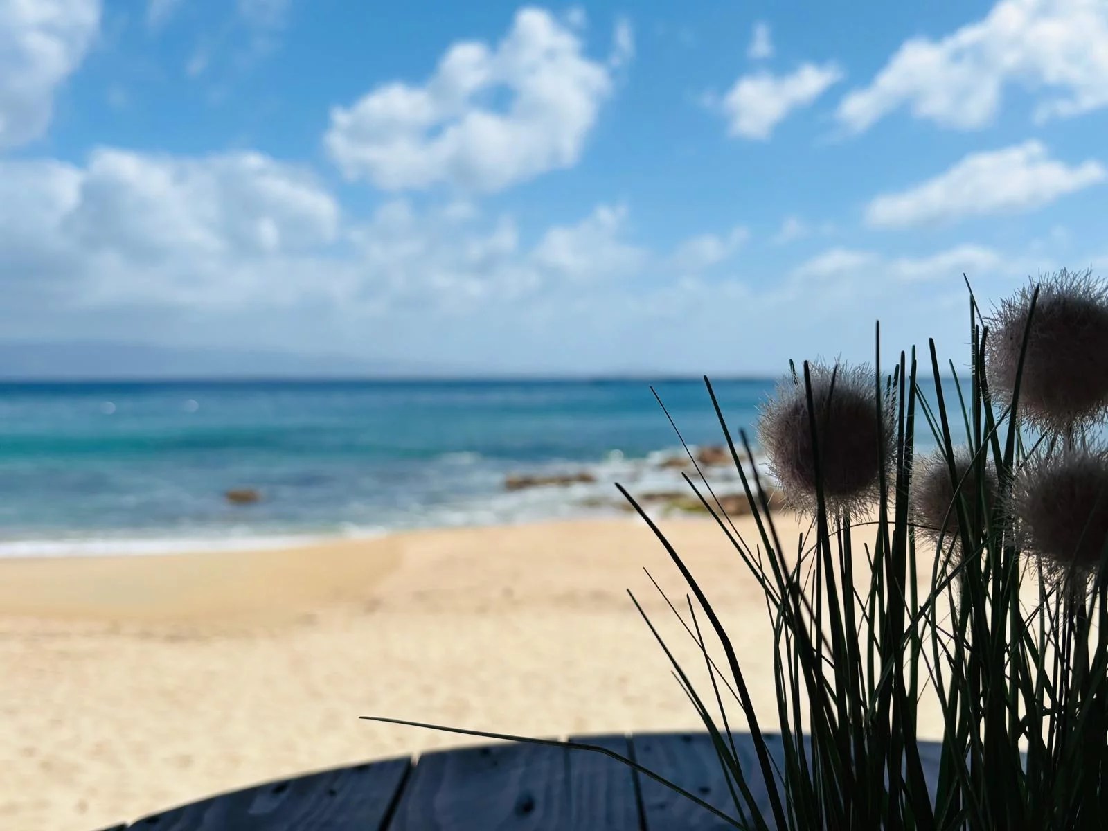 Haïku d'été: plage