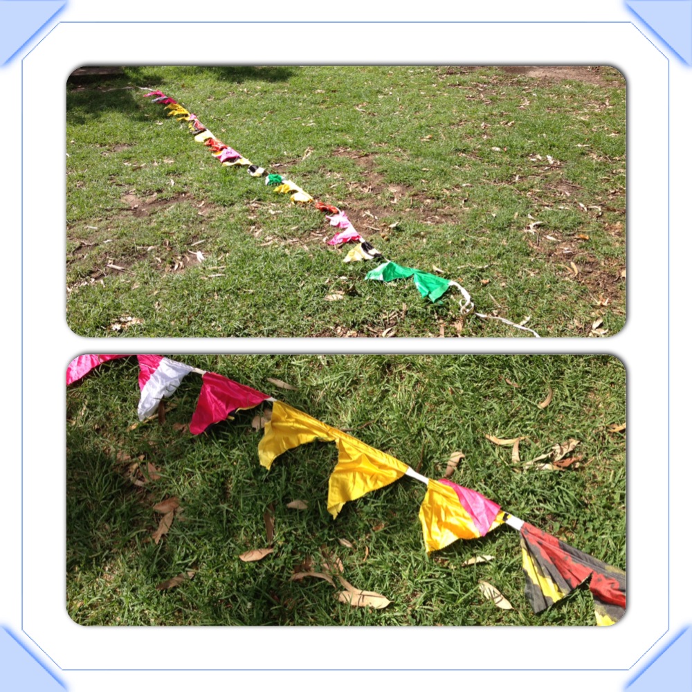 Bunting REVERSE GARBAGE