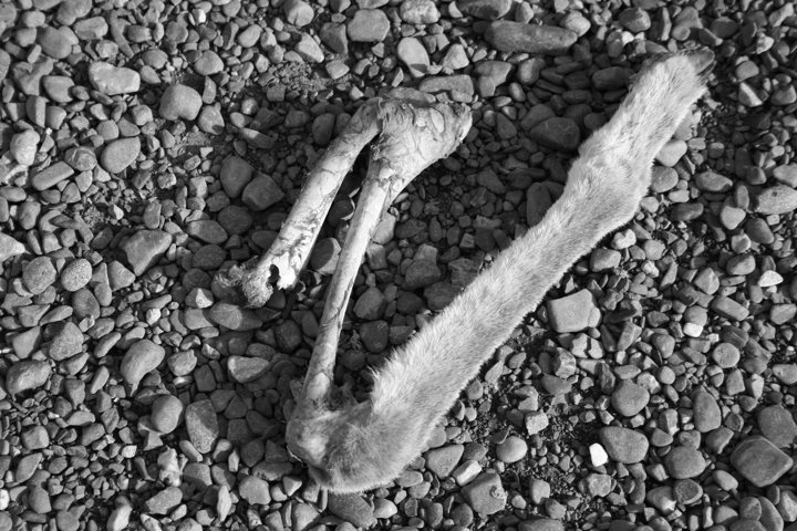 Torres del Paine 2011